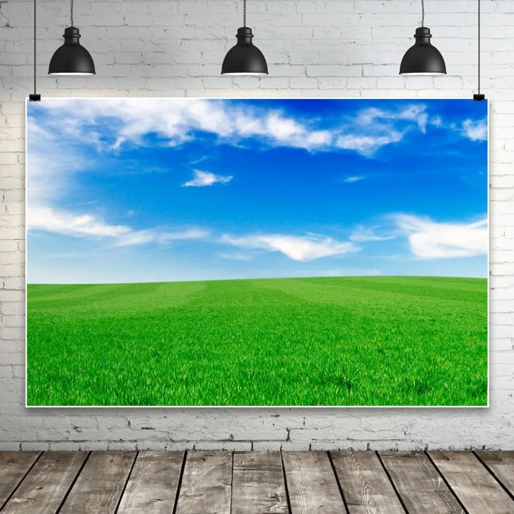 10x10ft Spring Grassland Background for Photography Blue Sky White Clouds Backdrop Grass Field Meadow Nature View Outdoor Activity Kids Western Themed Party Drama Birthday Supplies Studio Prop
