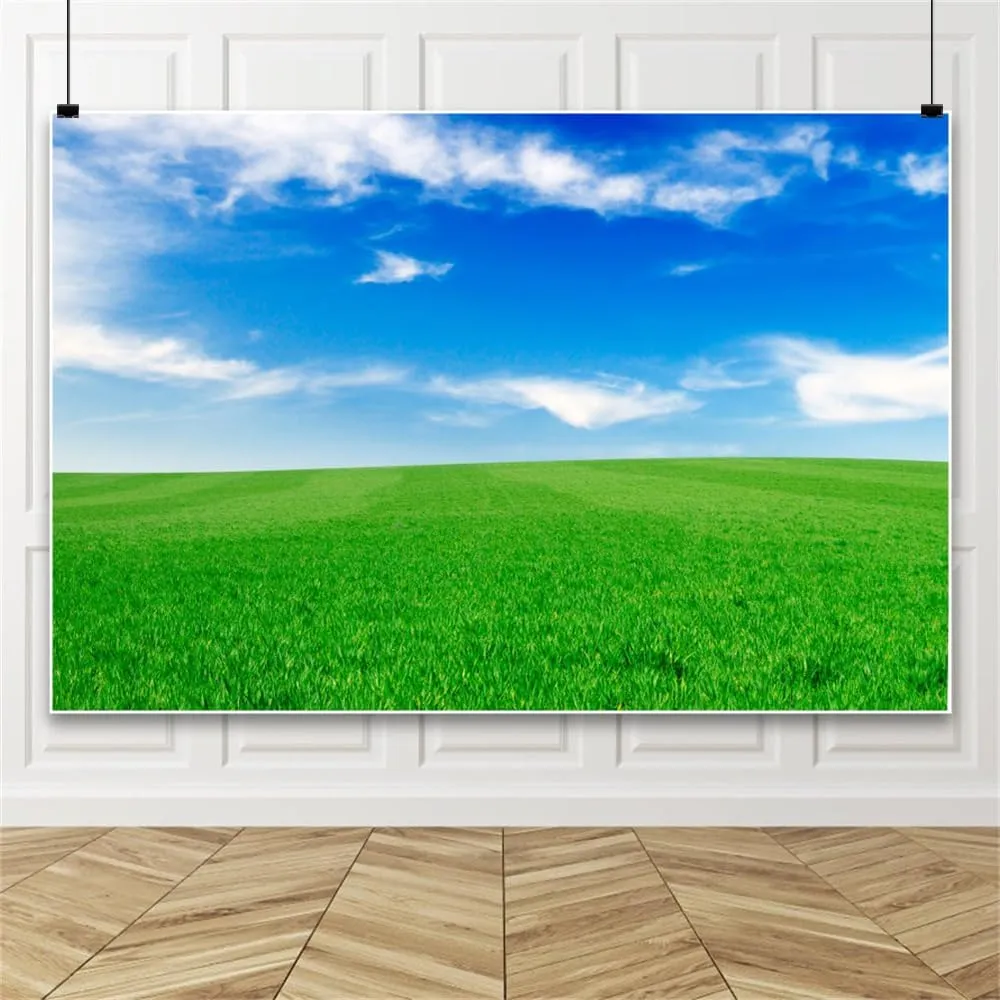 10x10ft Spring Grassland Background for Photography Blue Sky White Clouds Backdrop Grass Field Meadow Nature View Outdoor Activity Kids Western Themed Party Drama Birthday Supplies Studio Prop
