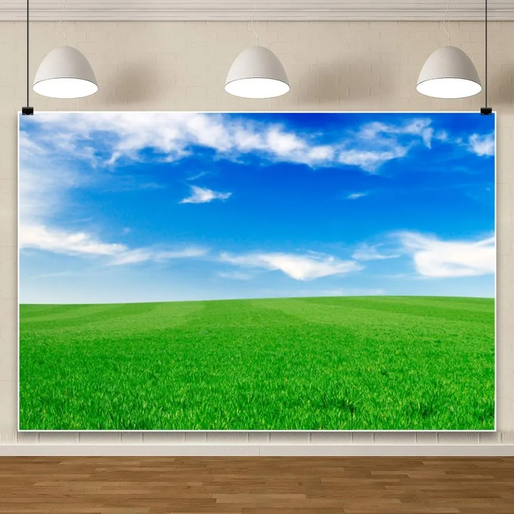 10x10ft Spring Grassland Background for Photography Blue Sky White Clouds Backdrop Grass Field Meadow Nature View Outdoor Activity Kids Western Themed Party Drama Birthday Supplies Studio Prop
