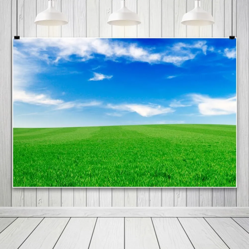 10x10ft Spring Grassland Background for Photography Blue Sky White Clouds Backdrop Grass Field Meadow Nature View Outdoor Activity Kids Western Themed Party Drama Birthday Supplies Studio Prop