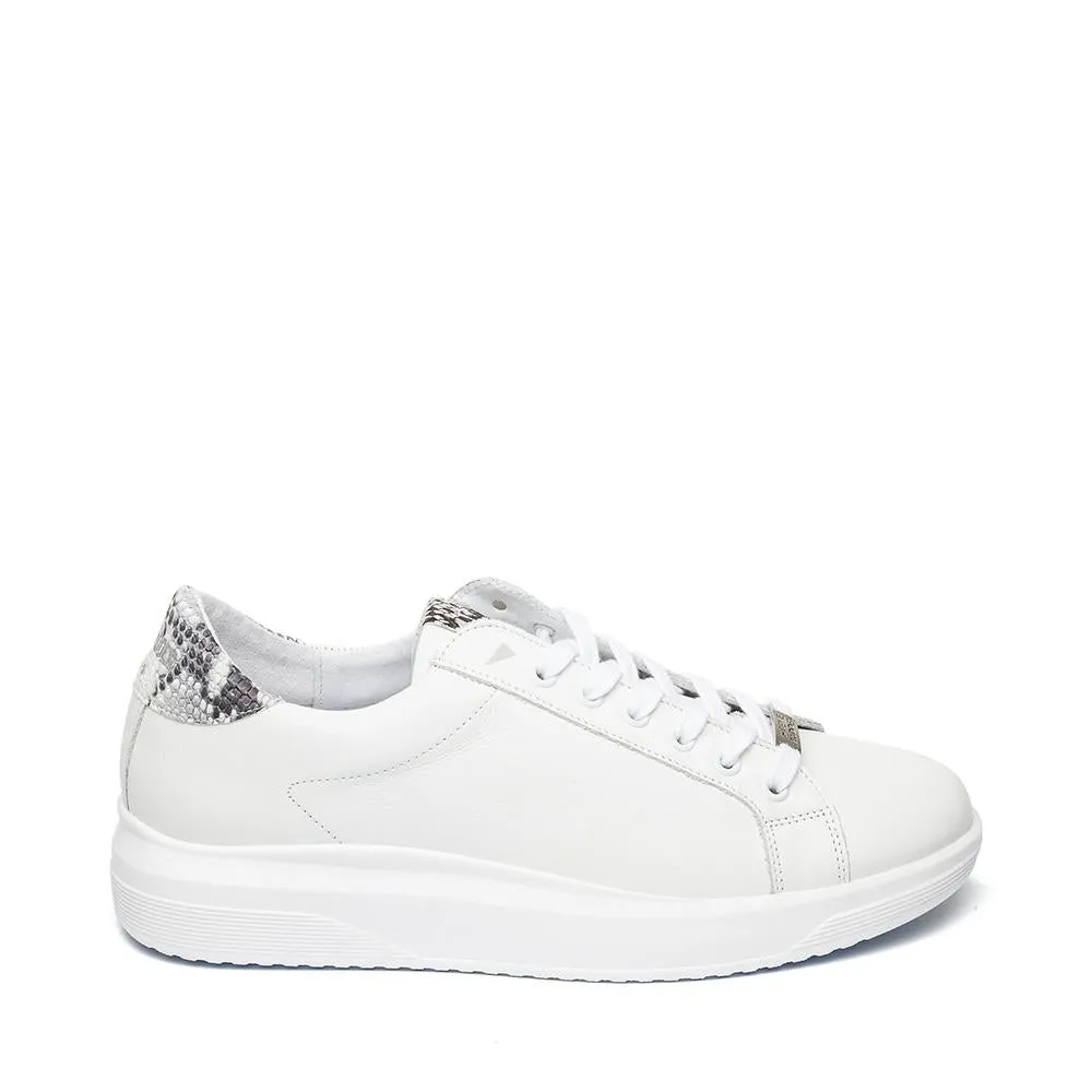 Alex Sneaker WHITE/SNAKE
