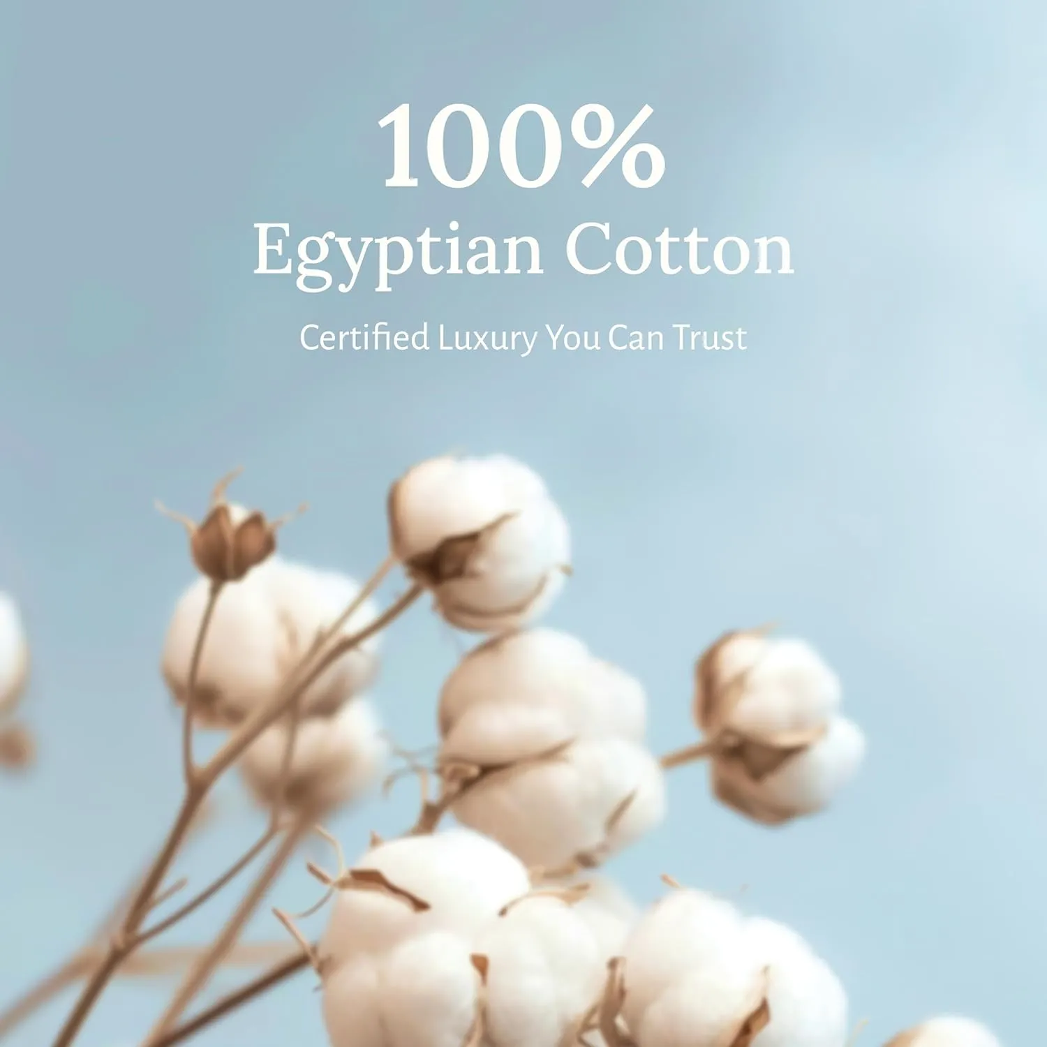 Certified Luxury 100% Egyptian Cotton Bed Sheets, California King Sheets Set, Bedding Sheets & Pillowcases Set with Deep Pocket, Sateen Cooling Sheets for Hot Sleepers, White Sheets Set