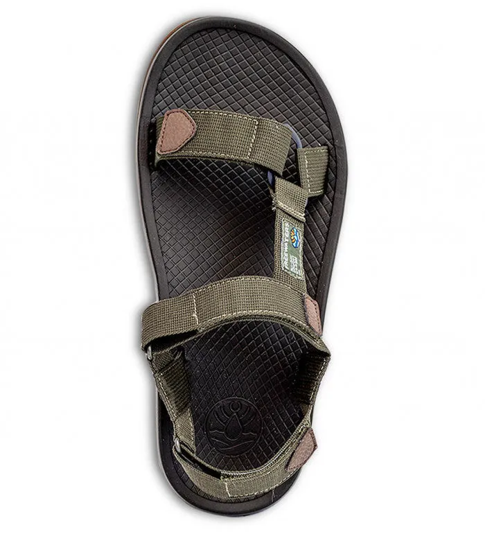 Cloud9 Sport Mns Mens Sandals