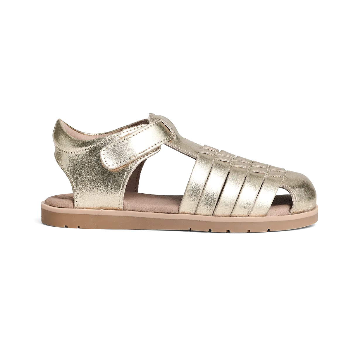 Frankie || Gold